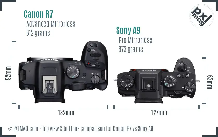 Canon R7 vs Sony A9 top view buttons comparison Canon R7 vs Sony A9 top view buttons comparison