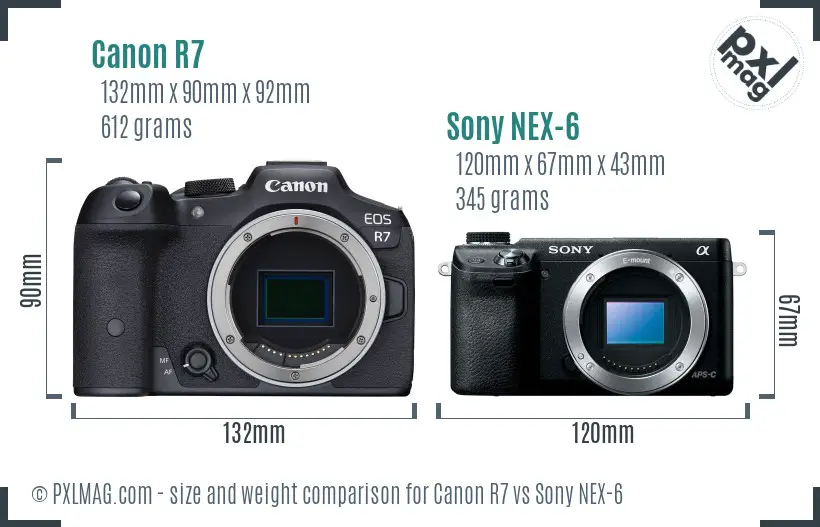 Canon R7 vs Sony NEX-6 size comparison