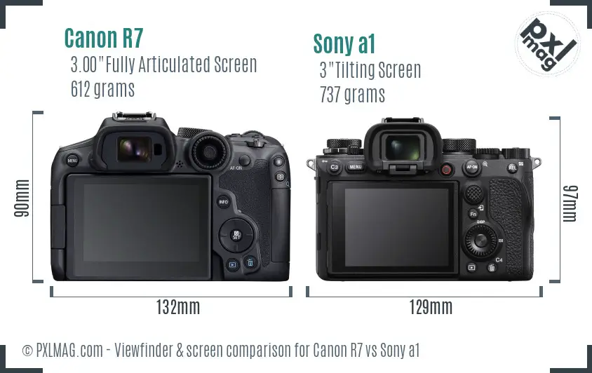 Canon R7 vs Sony a1 Screen and Viewfinder comparison