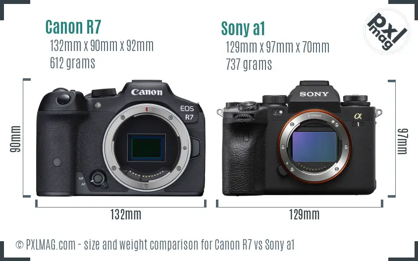 Canon R7 vs Sony a1 size comparison