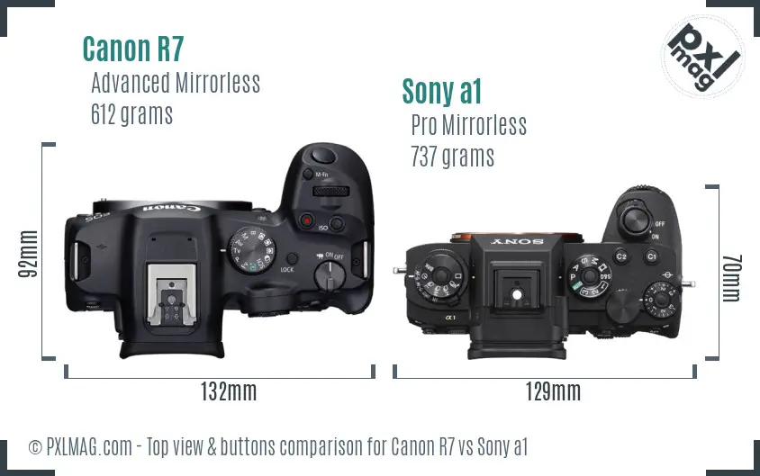 Canon R7 vs Sony a1 top view buttons comparison