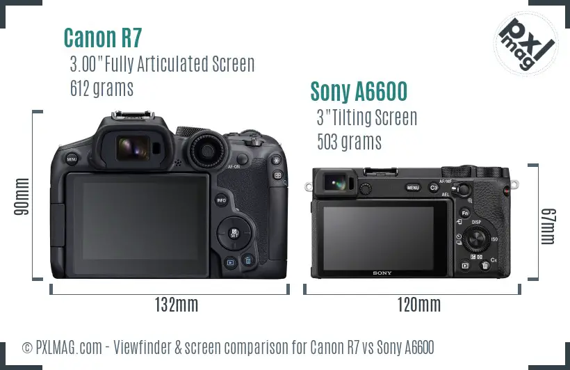 Canon R7 vs Sony A6600 Screen and Viewfinder comparison