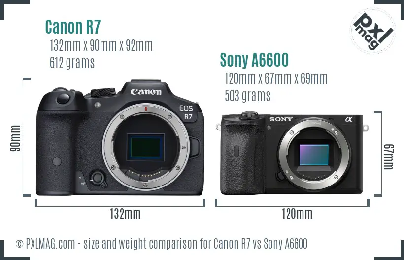 Canon R7 vs Sony A6600 size comparison
