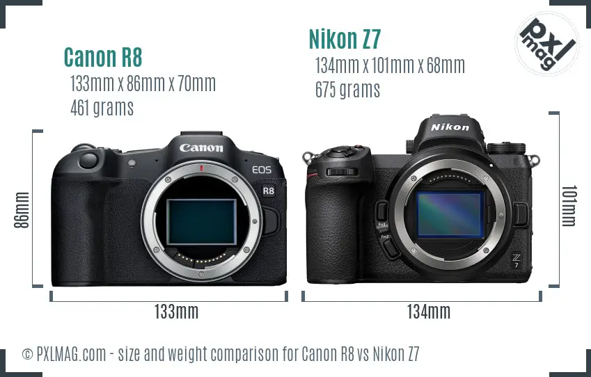 Canon R8 vs Nikon Z7 size comparison
