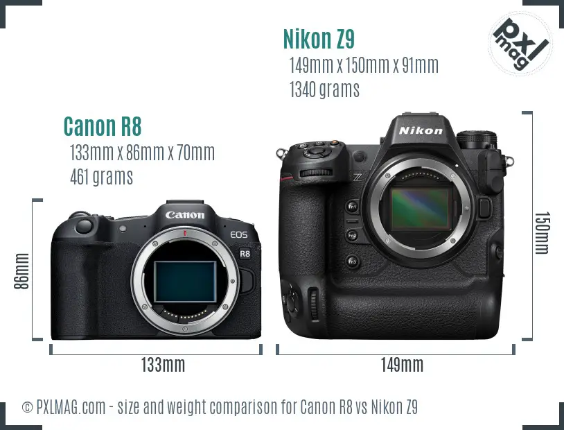 Canon R8 vs Nikon Z9 size comparison