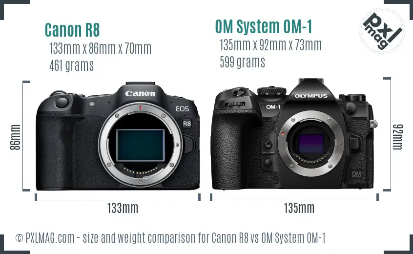 Canon R8 vs OM System OM-1 size comparison