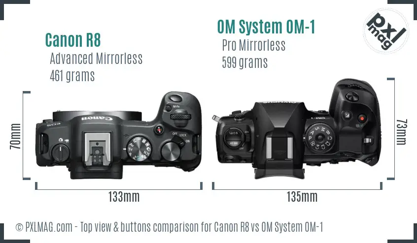 Canon R8 vs OM System OM-1 top view buttons comparison