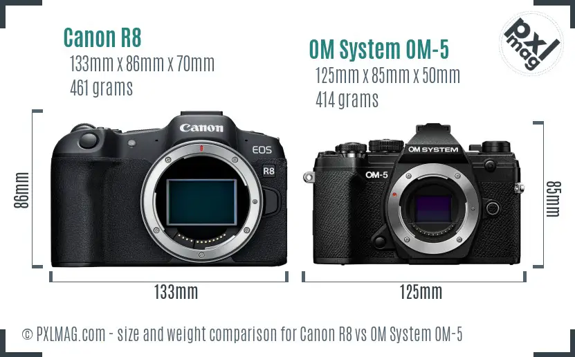 Canon R8 vs OM System OM-5 size comparison