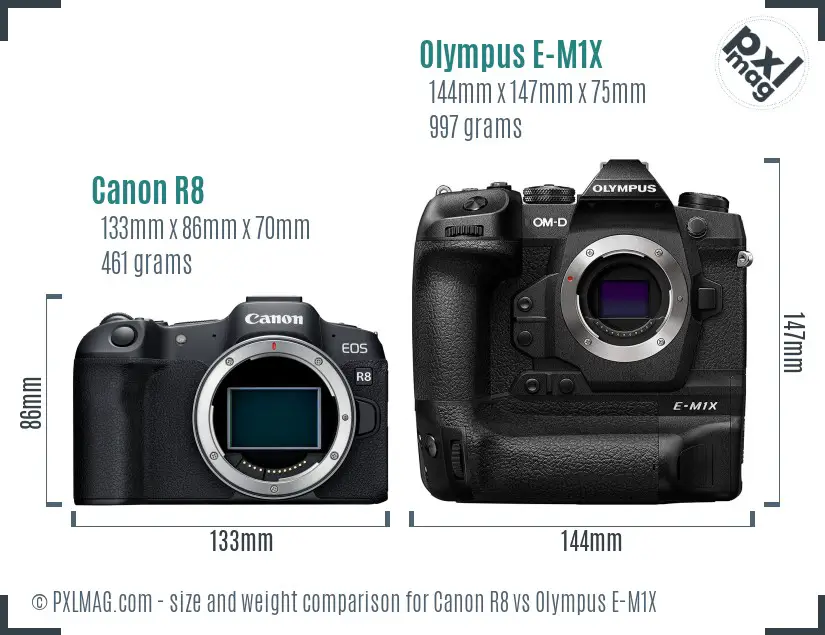 Canon R8 vs Olympus E-M1X size comparison