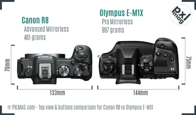 Canon R8 vs Olympus E-M1X top view buttons comparison