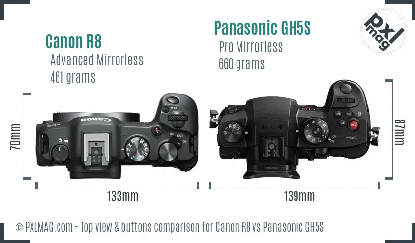 Canon R8 vs Panasonic GH5S top view buttons comparison