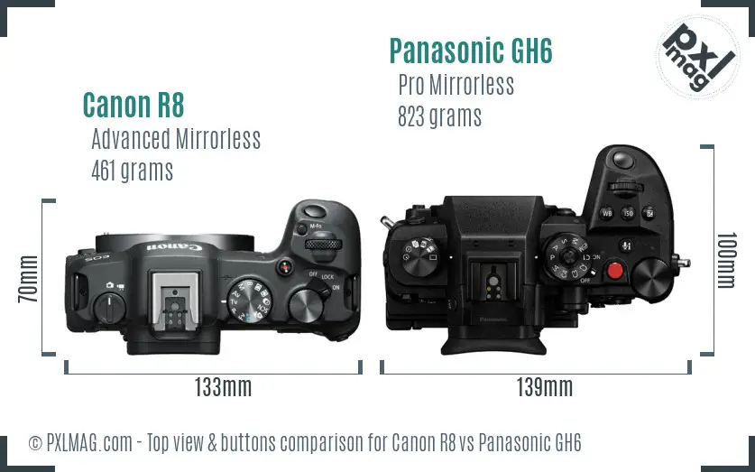 Canon R8 vs Panasonic GH6 top view buttons comparison