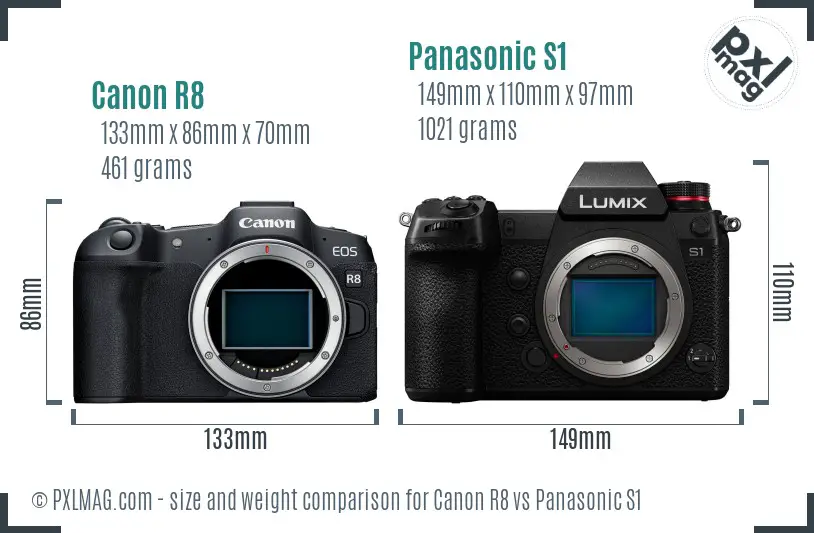 Canon R8 vs Panasonic S1 size comparison