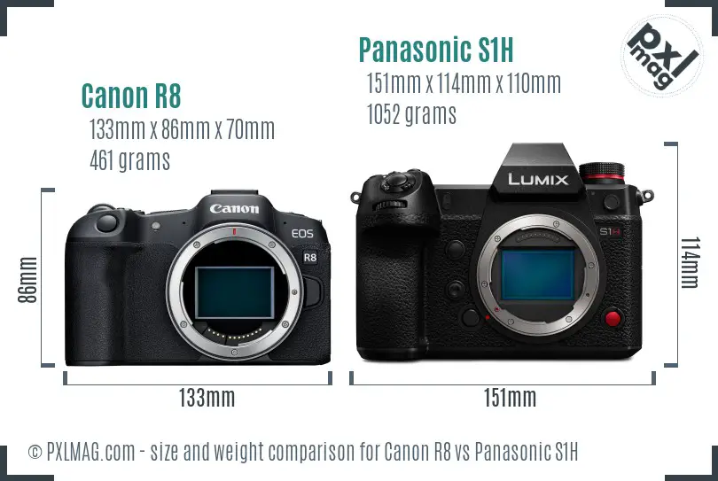 Canon R8 vs Panasonic S1H size comparison