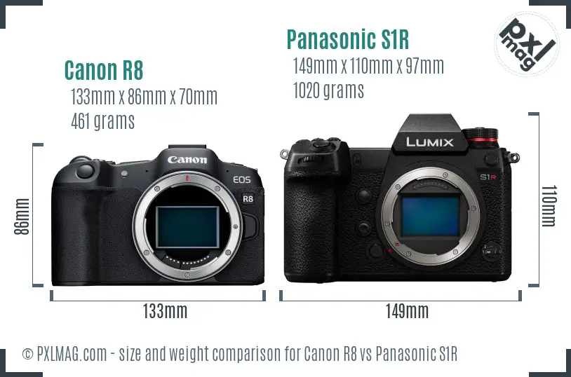 Canon R8 vs Panasonic S1R size comparison