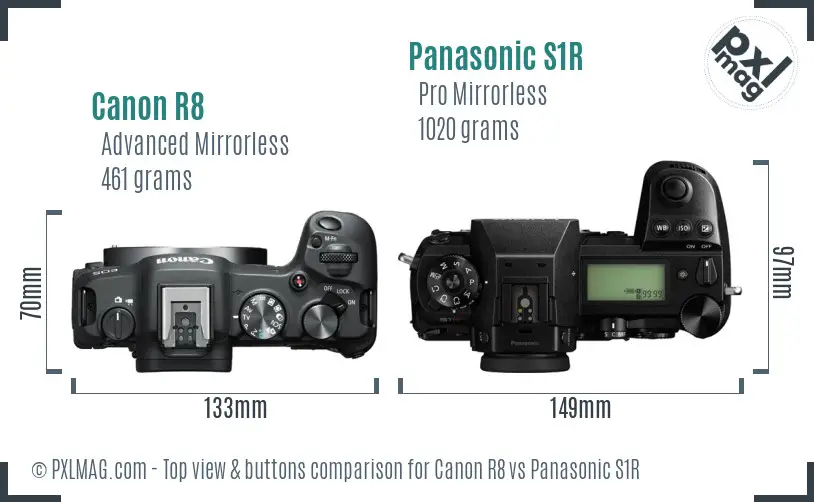 Canon R8 vs Panasonic S1R top view buttons comparison