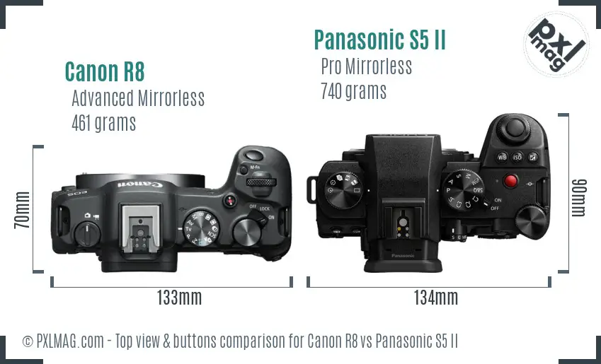 Canon R8 vs Panasonic S5 II top view buttons comparison