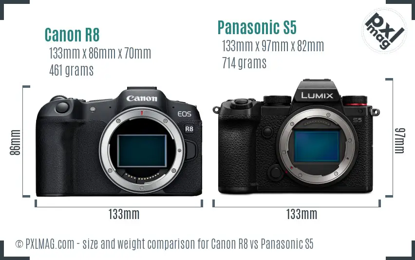 Canon R8 vs Panasonic S5 size comparison