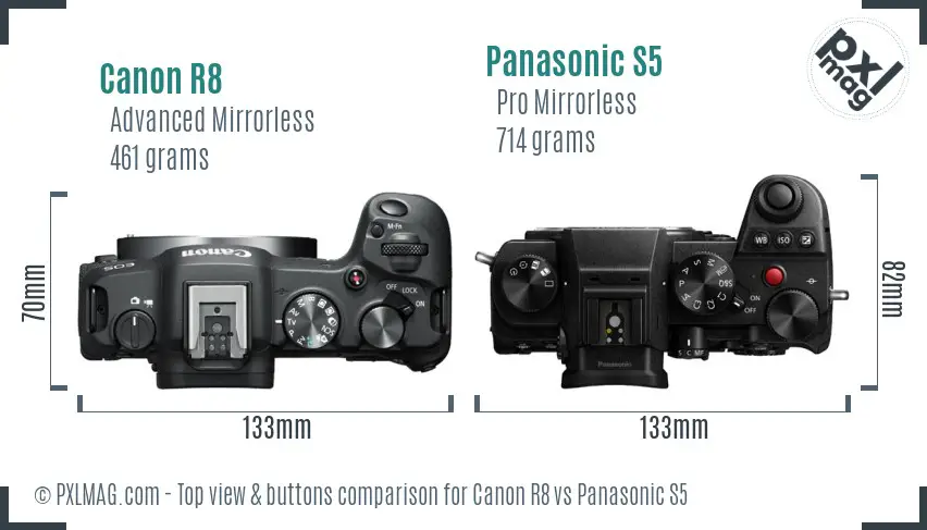 Canon R8 vs Panasonic S5 top view buttons comparison