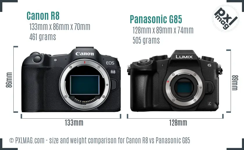 Canon R8 vs Panasonic G85 size comparison
