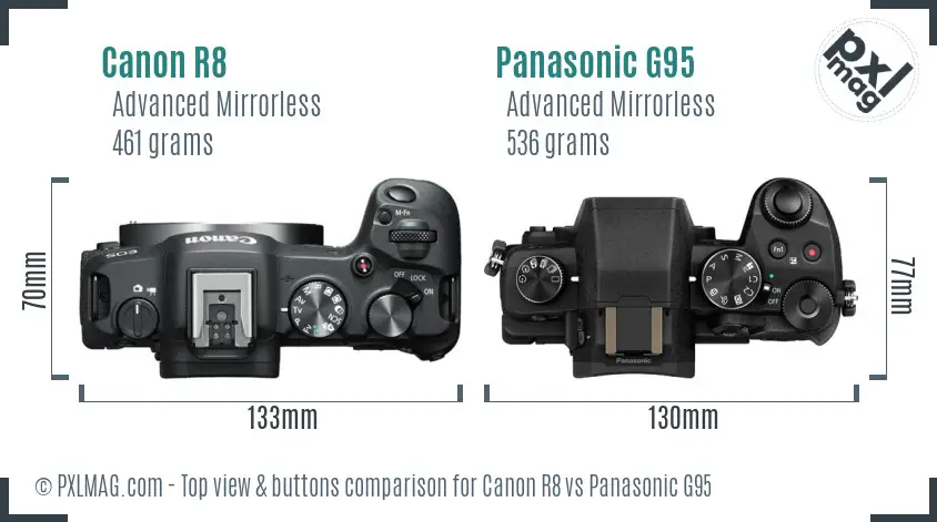 Canon R8 vs Panasonic G95 top view buttons comparison