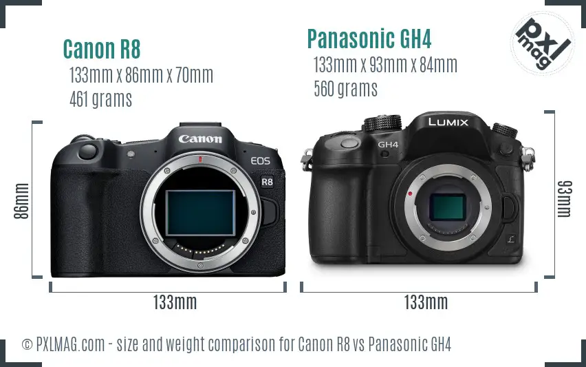 Canon R8 vs Panasonic GH4 size comparison