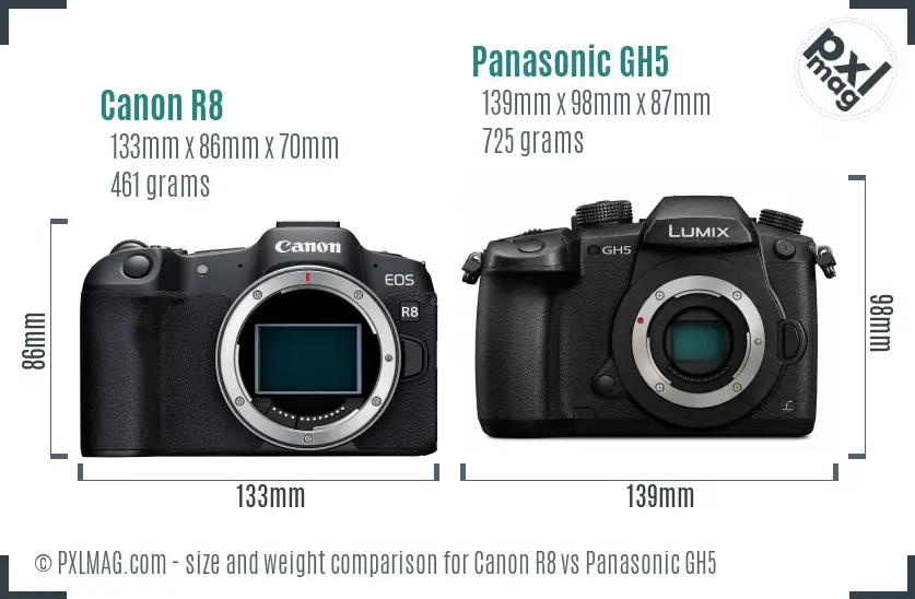 Canon R8 vs Panasonic GH5 size comparison