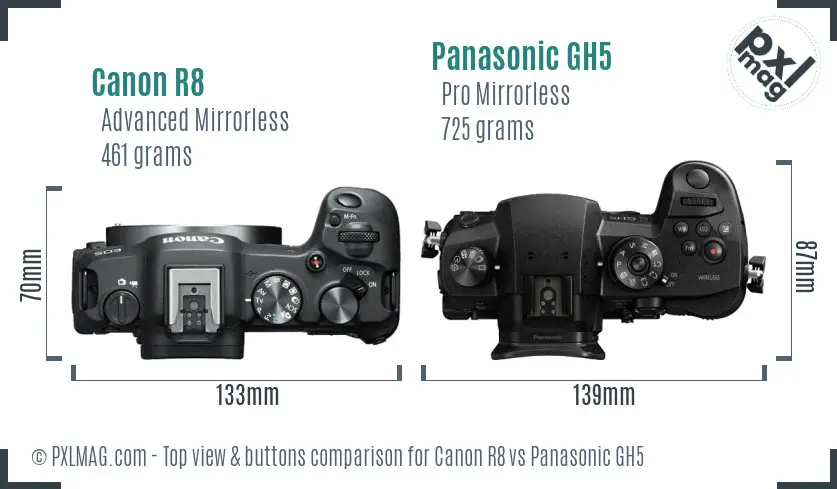 Canon R8 vs Panasonic GH5 top view buttons comparison