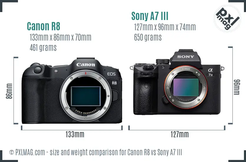 Canon R8 vs Sony A7 III size comparison