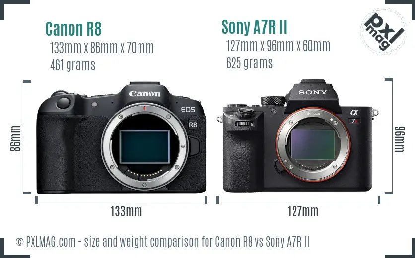 Canon R8 vs Sony A7R II size comparison