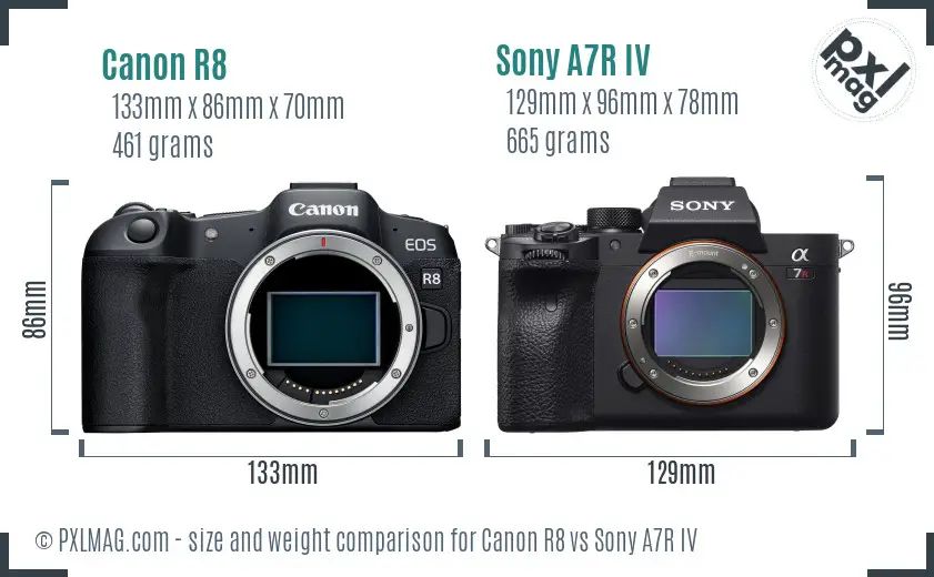 Canon R8 vs Sony A7R IV size comparison