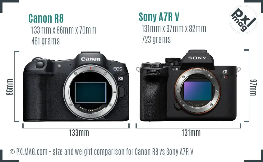 Canon R8 vs Sony A7R V size comparison