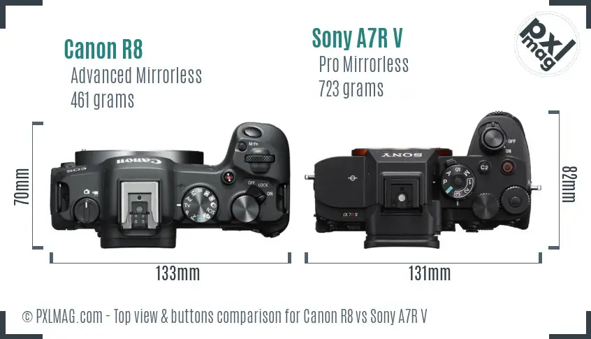 Canon R8 vs Sony A7R V top view buttons comparison