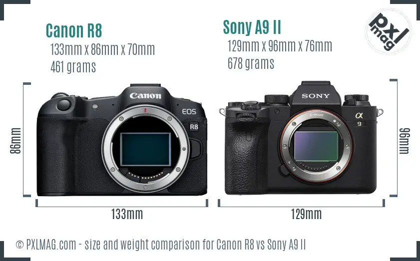 Canon R8 vs Sony A9 II size comparison Canon R8 vs Sony A9 II size comparison