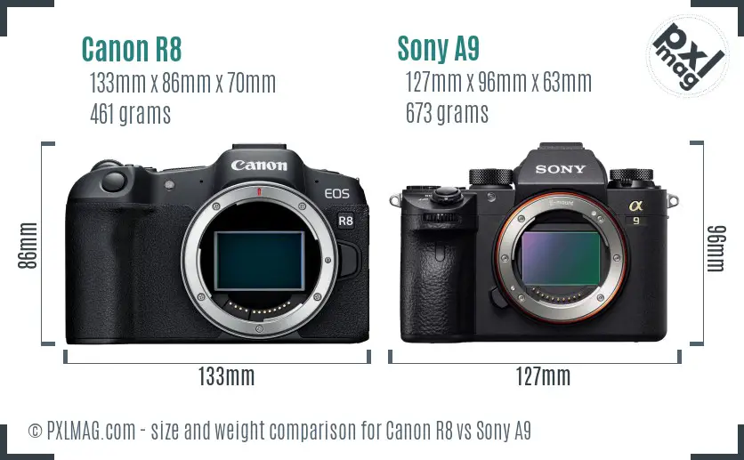 Canon R8 vs Sony A9 size comparison