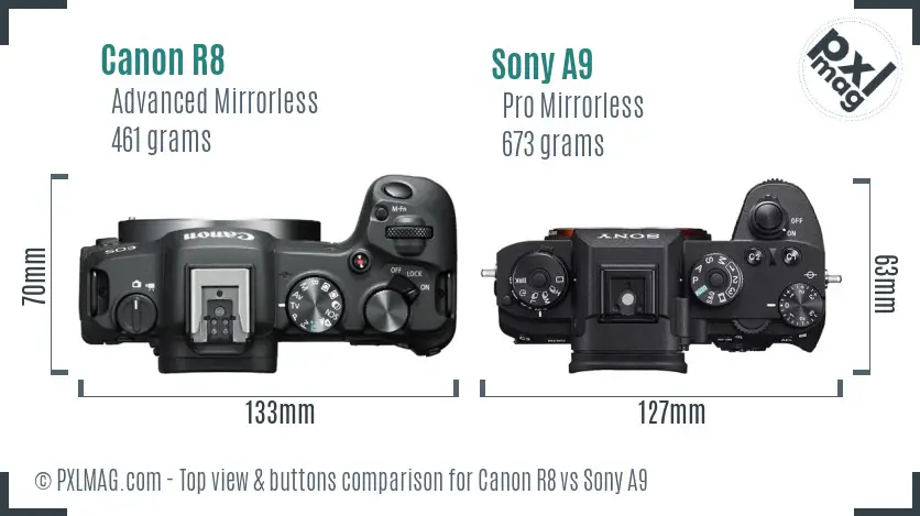 Canon R8 vs Sony A9 top view buttons comparison