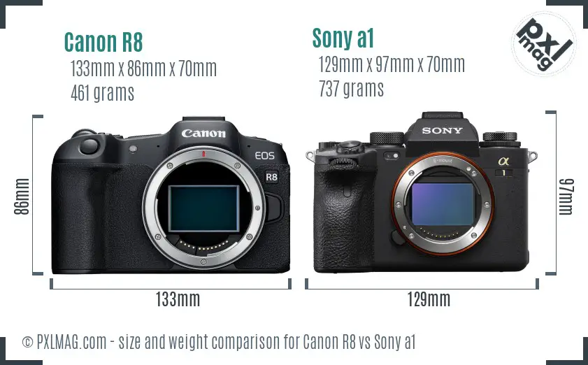 Canon R8 vs Sony a1 size comparison