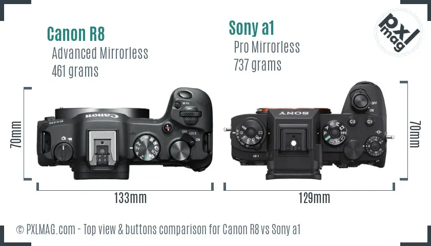 Canon R8 vs Sony a1 top view buttons comparison