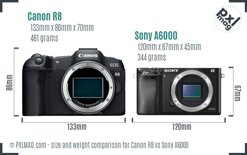 Canon R8 vs Sony A6000 size comparison