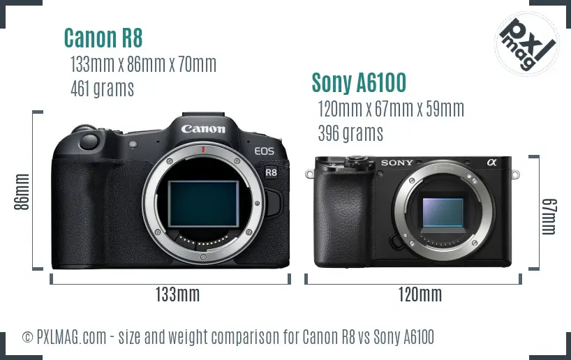 Canon R8 vs Sony A6100 size comparison