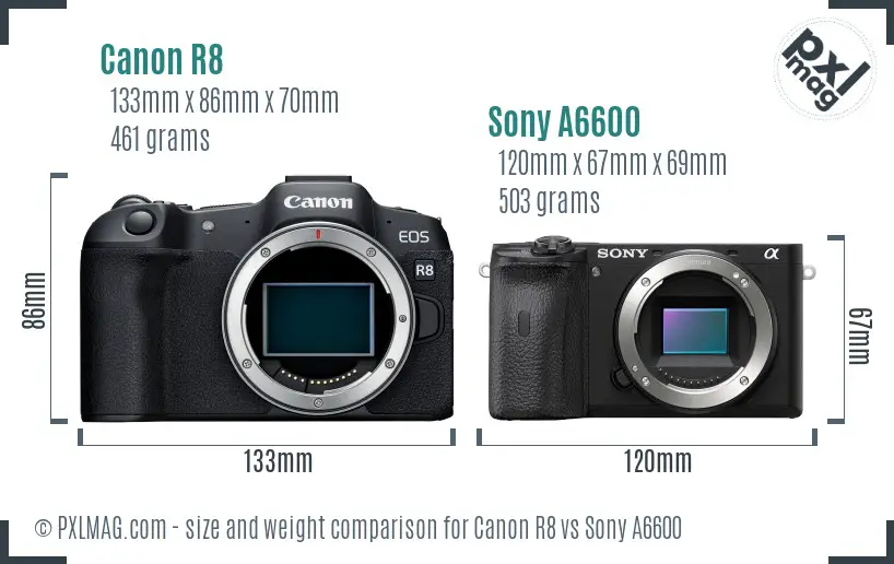 Canon R8 vs Sony A6600 size comparison