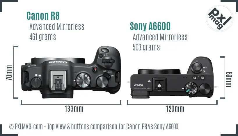 Canon R8 vs Sony A6600 top view buttons comparison