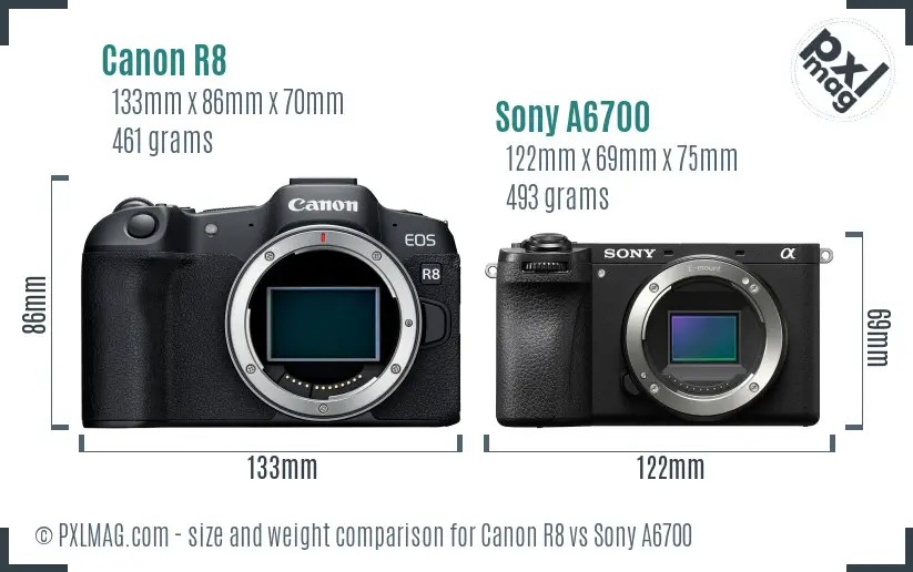 Canon R8 vs Sony A6700 size comparison