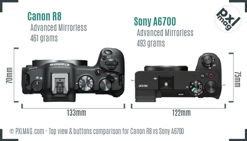 Canon R8 vs Sony A6700 top view buttons comparison
