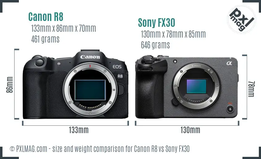 Canon R8 vs Sony FX30 size comparison