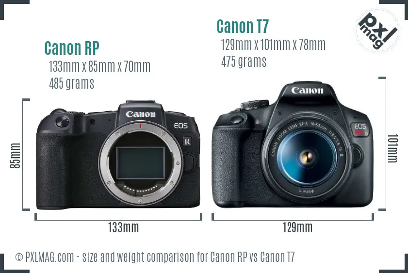 Canon RP vs Canon T7 size comparison Canon RP vs Canon T7 size comparison