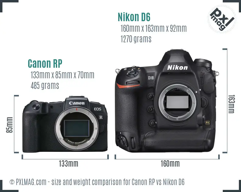 Canon RP vs Nikon D6 size comparison