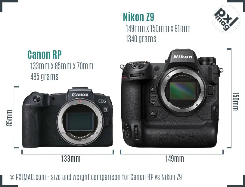 Canon RP vs Nikon Z9 size comparison