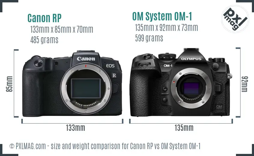Canon RP vs OM System OM-1 size comparison Canon RP vs OM System OM-1 size comparison