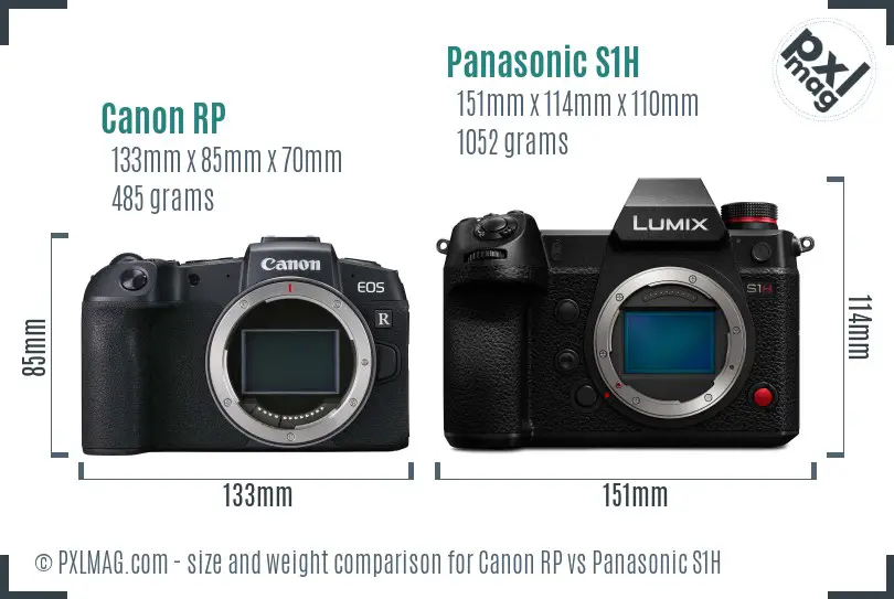 Canon RP vs Panasonic S1H size comparison